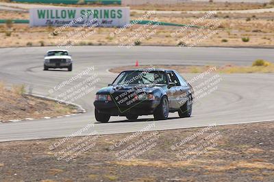 media/Oct-25-2025-West Coast Racing (Sat) [[9fdcbcd09c]]/Yellow group/Turn 4/